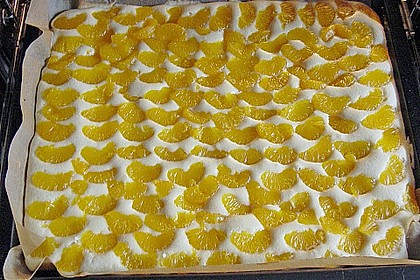 Altenburger Mandarinenkuchen 36