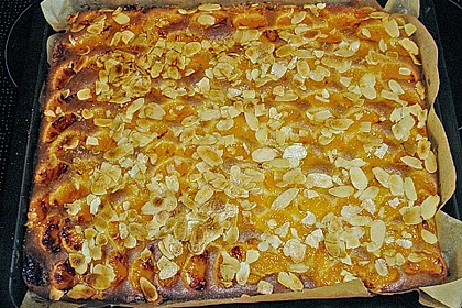 Altenburger Mandarinenkuchen 35