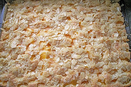Altenburger Mandarinenkuchen 10