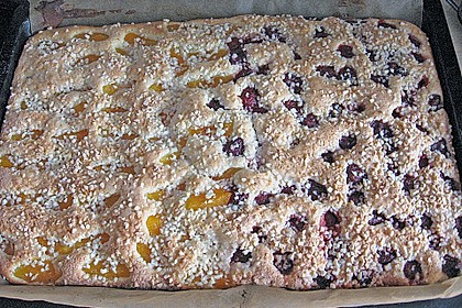 Altenburger Mandarinenkuchen 34