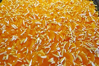 Altenburger Mandarinenkuchen 31
