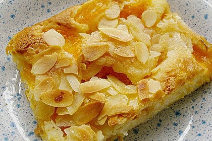 Altenburger Mandarinenkuchen 6