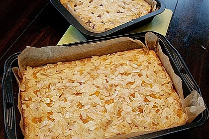 Altenburger Mandarinenkuchen 8