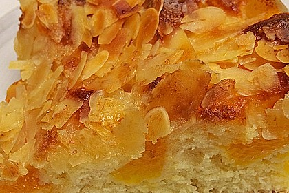 Altenburger Mandarinenkuchen 16