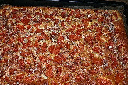 Altenburger Mandarinenkuchen 43