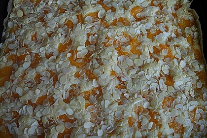 Altenburger Mandarinenkuchen 20