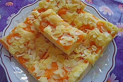 Altenburger Mandarinenkuchen 2