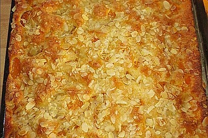 Altenburger Mandarinenkuchen 12