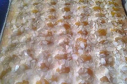 Altenburger Mandarinenkuchen 17