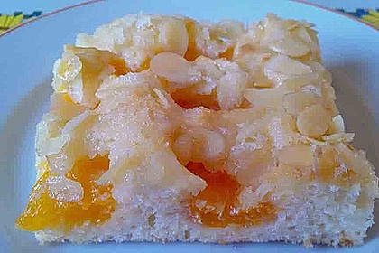 Altenburger Mandarinenkuchen 7