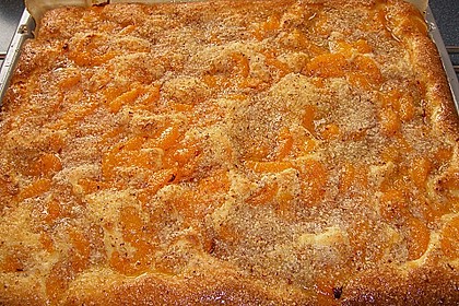 Altenburger Mandarinenkuchen 39