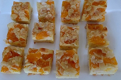 Altenburger Mandarinenkuchen 15