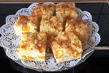 Altenburger Mandarinenkuchen 13