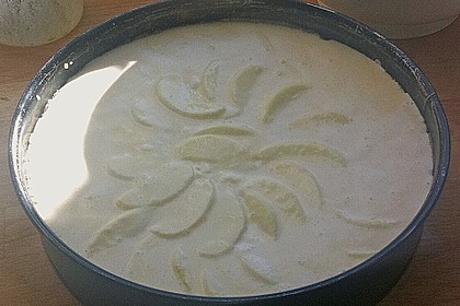 Apfelkäsekuchen 15