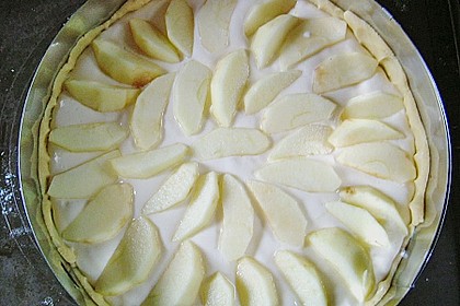 Apfelkäsekuchen 16