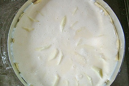 Apfelkäsekuchen 17