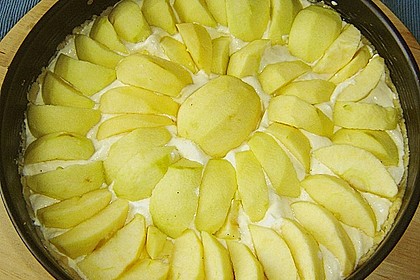 Apfelkäsekuchen 18