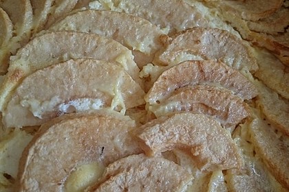 Apfelkäsekuchen 14