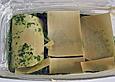 Spinat - Lasagne