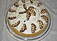 Super Dickmann - Torte
