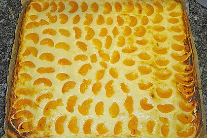 K&auml;sekuchen vom Blech 1