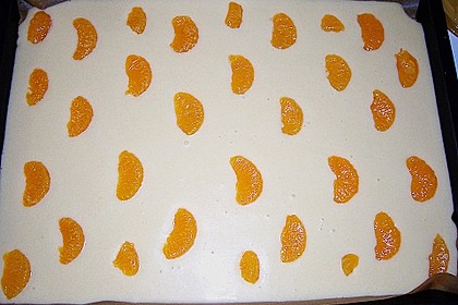 K&auml;sekuchen vom Blech 7