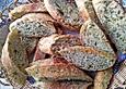 SchmackoFatz Kr&auml;uterbaguette