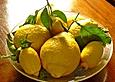 Limoncello di Campania