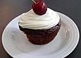 Schoko Muffins ohne Mehl (Low Carb)