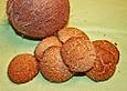 Kokos-Amaranth-Pl&auml;tzchen