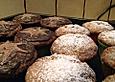 Eierlik&ouml;r-Stracciatella-Muffins