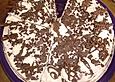 Franz&ouml;sischer Schokokuchen mit Preiselbeer-Sahne-F&uuml;llung