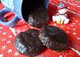 Elisen-Lebkuchen nach Hobbitart