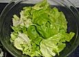 Kopfsalat mit Gurken und Kresse &agrave; la Gabi