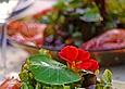 Gr&uuml;ner Salat mit Garnelen und Honig-Senf-Dressing