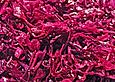 Rotkrautsalat