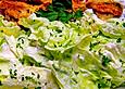Eisbergsalat