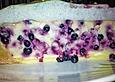 Aromatischer K&auml;sekuchen mit Holunderbeeren und leichter Baiser-Schicht