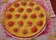 Aprikosen-Tarte