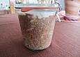 Wild-Rillettes