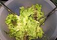 Blattsalat mit Orangen-Dressing und Waln&uuml;ssen