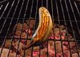 Raffiniertes Bananen-Dessert vom Grill