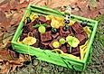 Schoko-W&uuml;rfel mit Obst