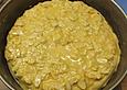 Bienenstich mit Aprikosenquark-Creme und Honig-Knusperschicht