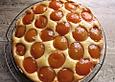 Aprikosen-Quark-Tarte