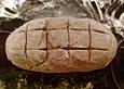 Walnussbrot ohne Sauerteig