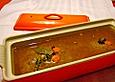 Wildterrine
