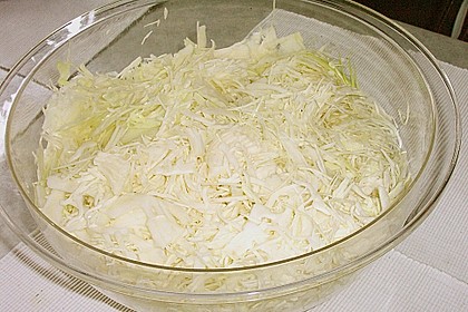 24 Stunden Krautsalat 29