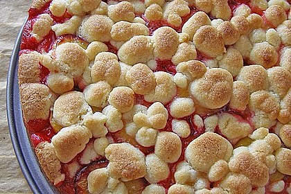 Pflaumenkuchen mit Streuseln 1