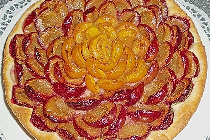 Pflaumenkuchen mit Streuseln 51